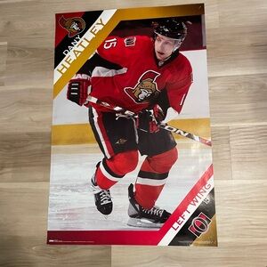 Ottawa Senators Dany Heatley Hockey Poster - 24x36